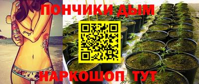 гидра Кинель